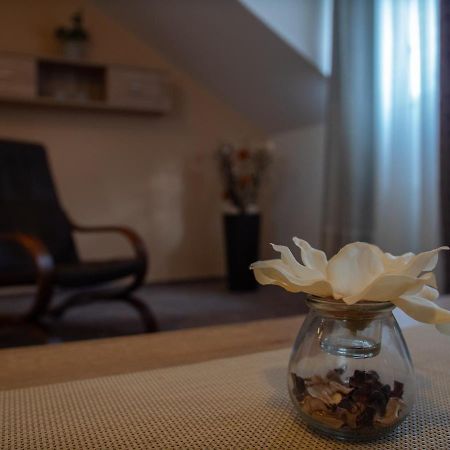 Hotel Pizzeria Istria Velké Losiny 외부 사진