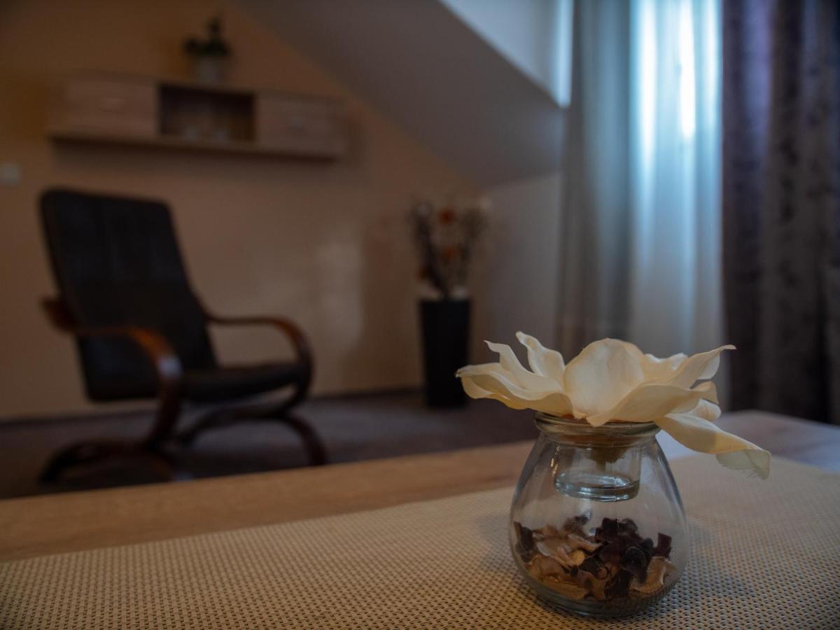 Hotel Pizzeria Istria Velké Losiny 외부 사진